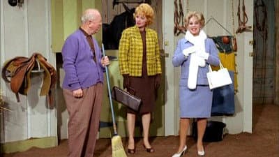 Still from Lucy and the Countess Have a Horse Guest