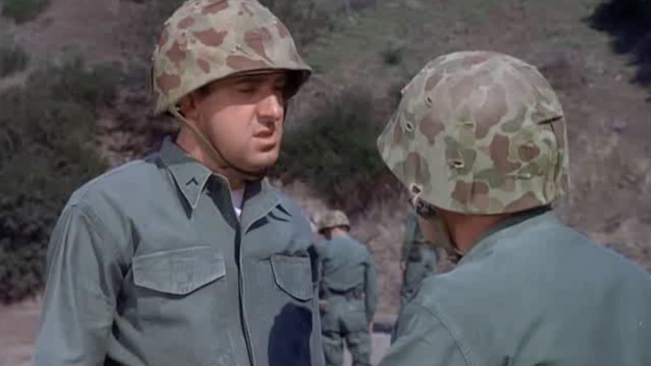 Still from One of Our Shells is Missing