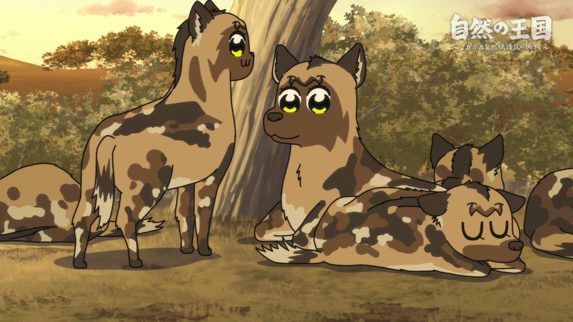 Still from The Kingdom of Nature