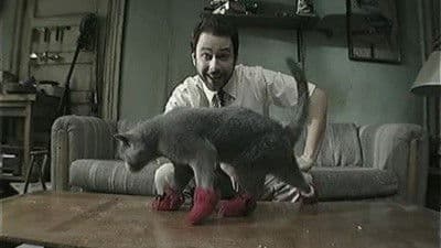 Still from Paddy's Pub: Home of the Original Kitten Mittens
