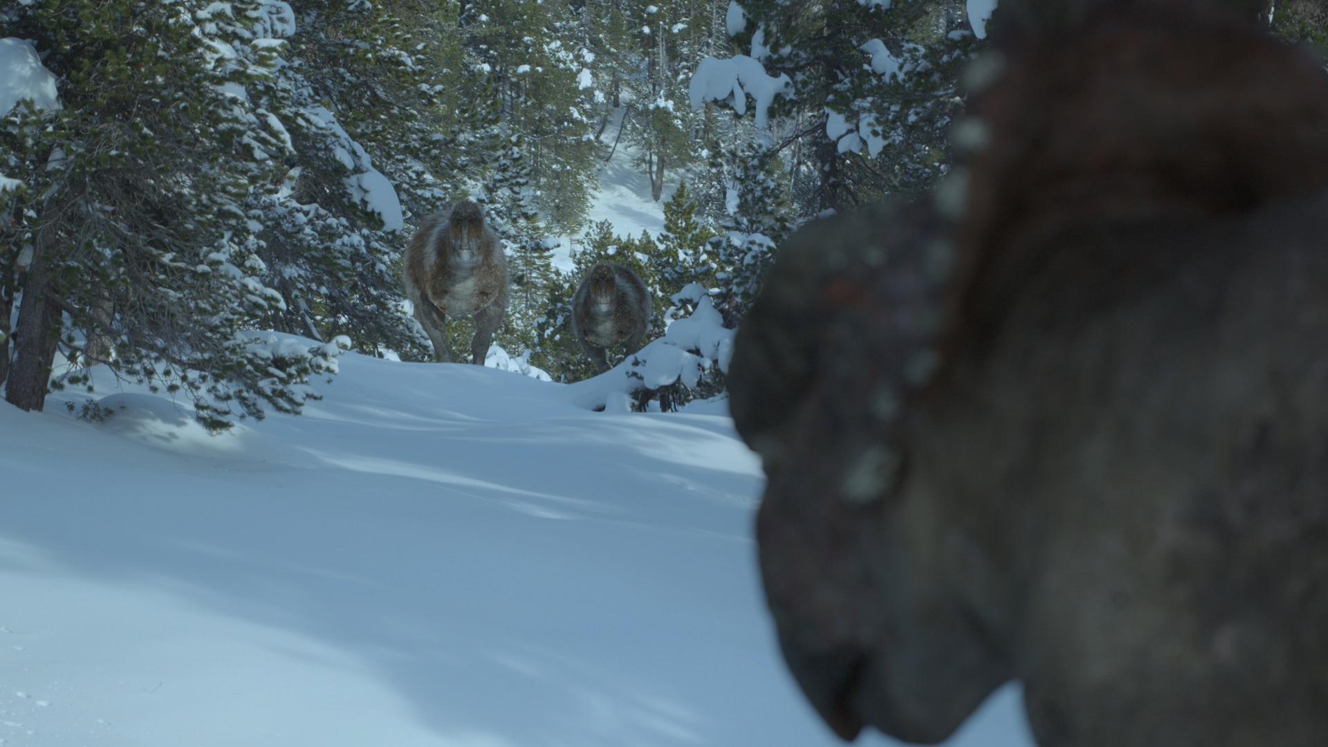 Still from Uncovered: Did Dinosaurs Hunt in Packs?