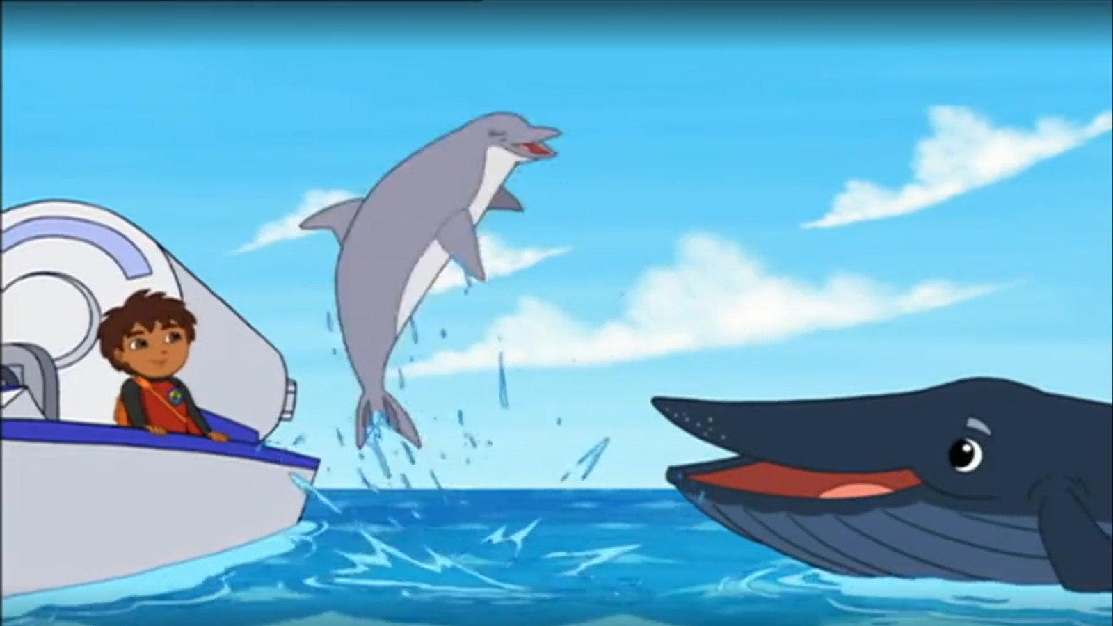 Still from Ocean Animal Rescuer