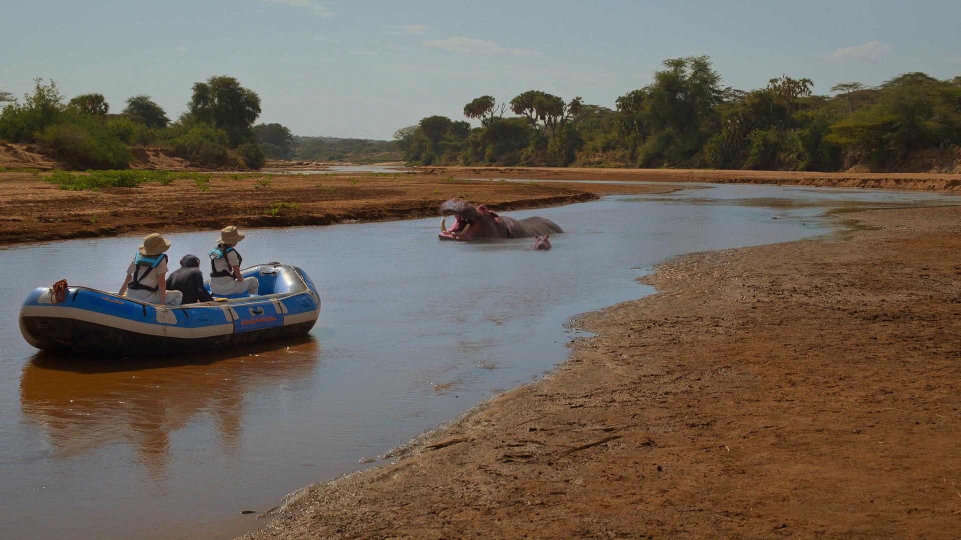 Still from Hippopotamus amphibius