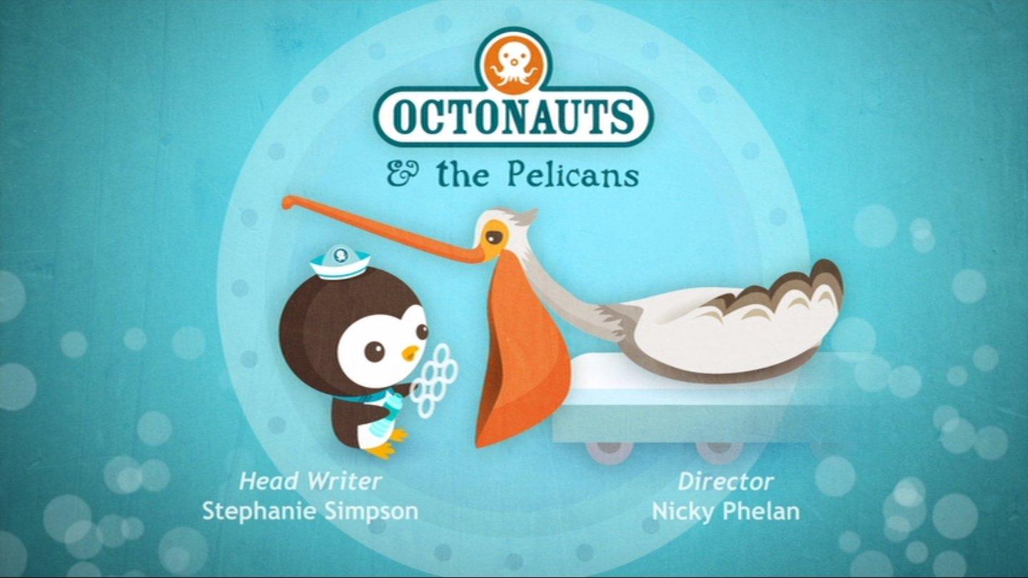 Still from The Pelicans