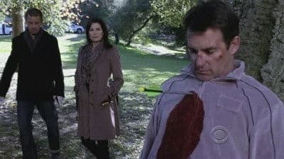 Still from The Ripple Effect