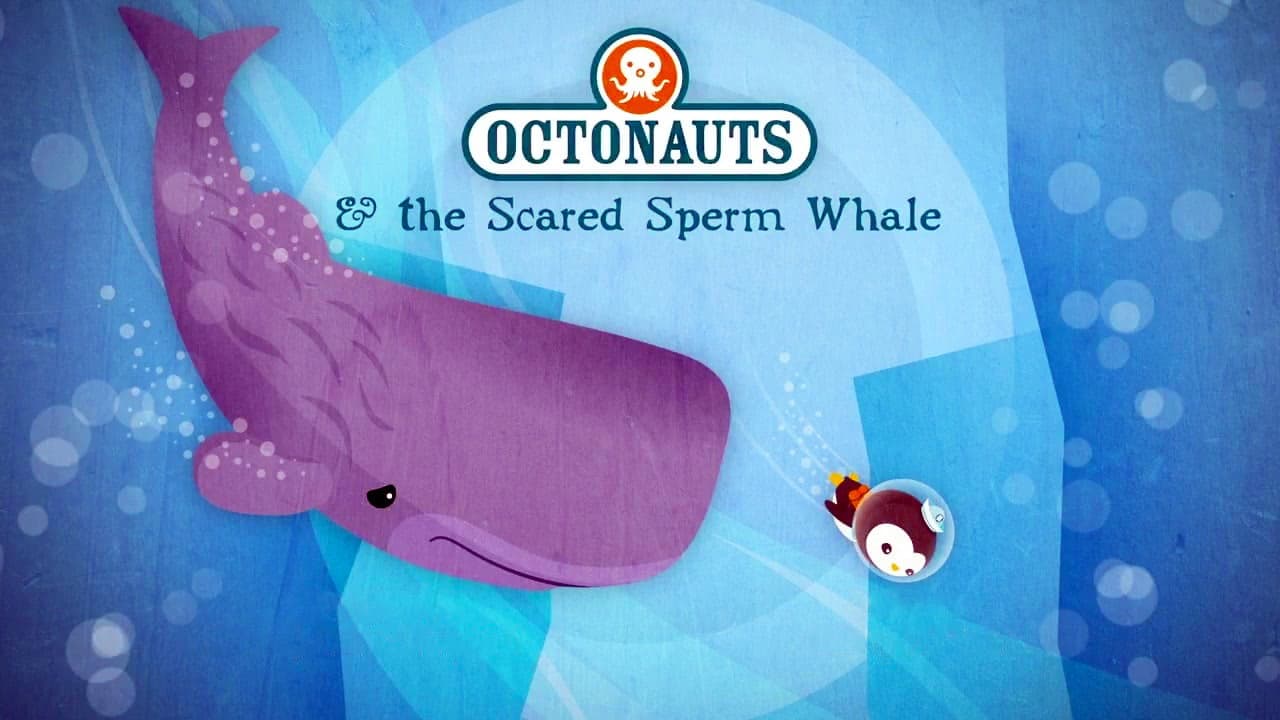 Still from The Scared Sperm Whale