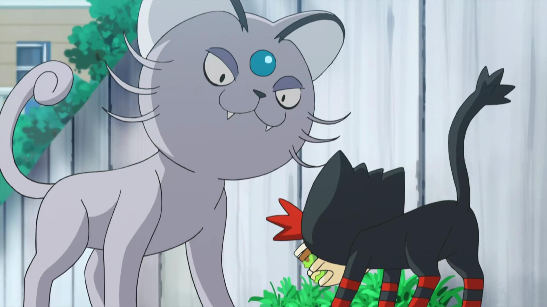 Still from That's Why the Litten is a Scamp!