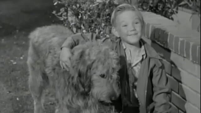 Still from A Dog for Harold