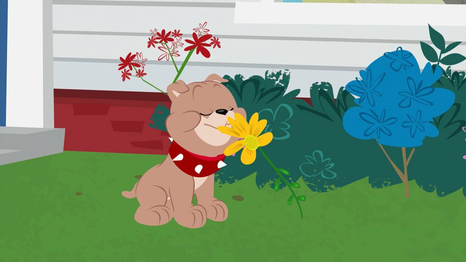 Still from Dog Daze