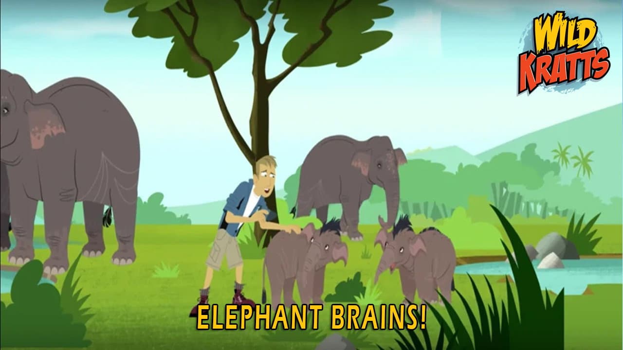 Still from Elephant Brains