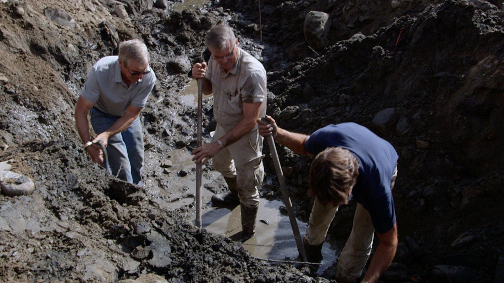 Still from Wharfs and All