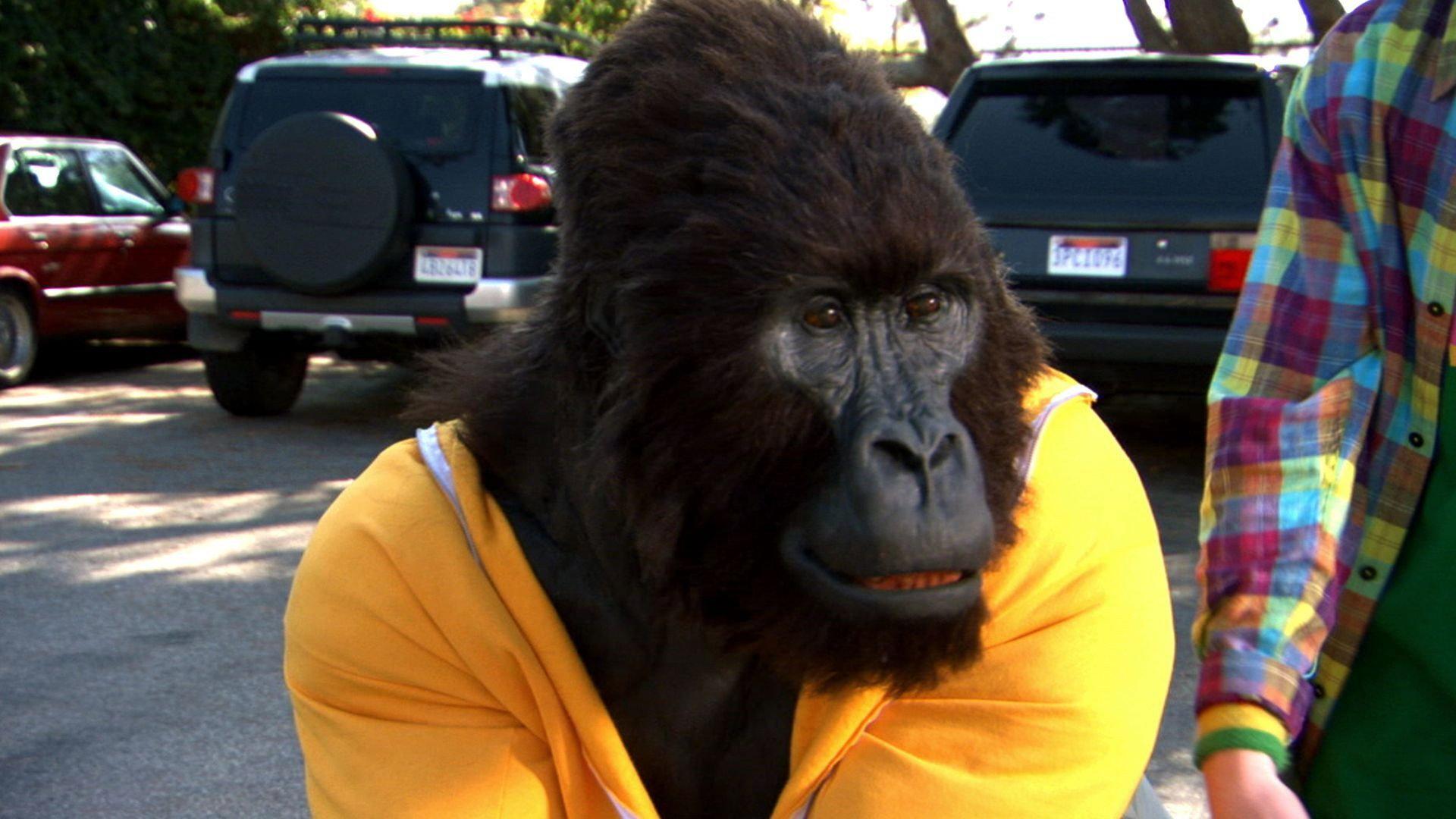 Still from A Very Hairy Problem