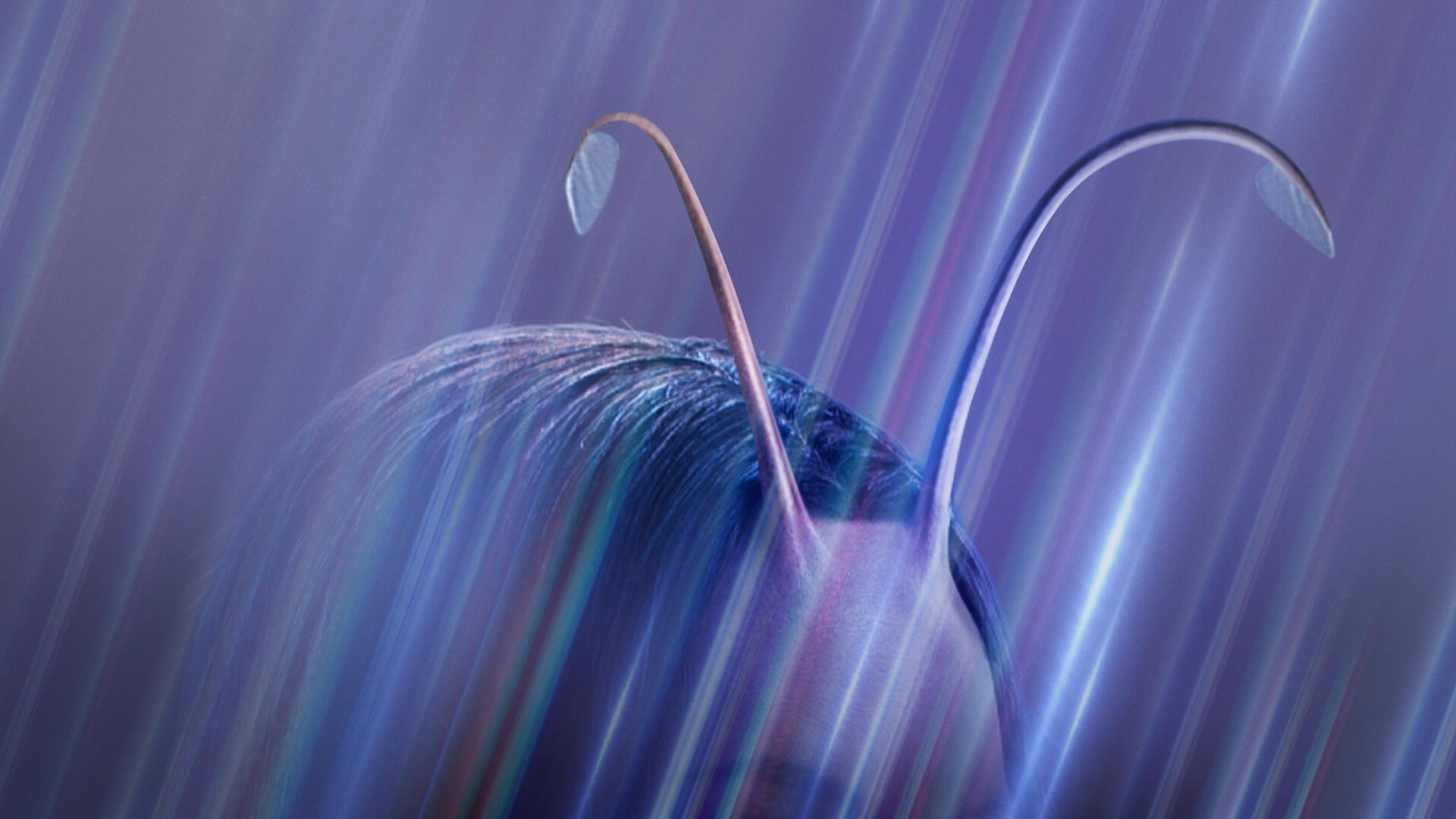 Still from Mantis