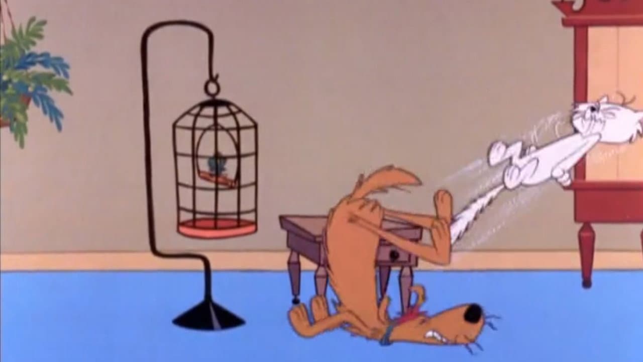 Still from The Bird Watcher