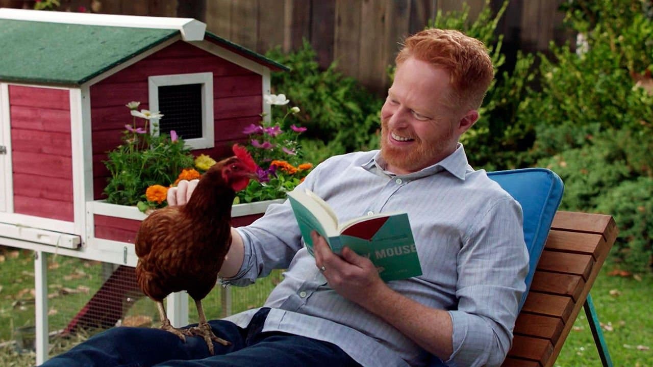Still from Did the Chicken Cross the Road?