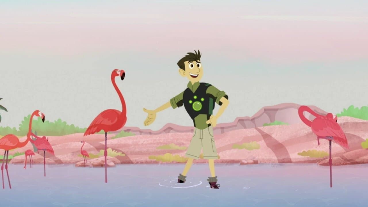 Still from Mystery of the Flamingo's Pink