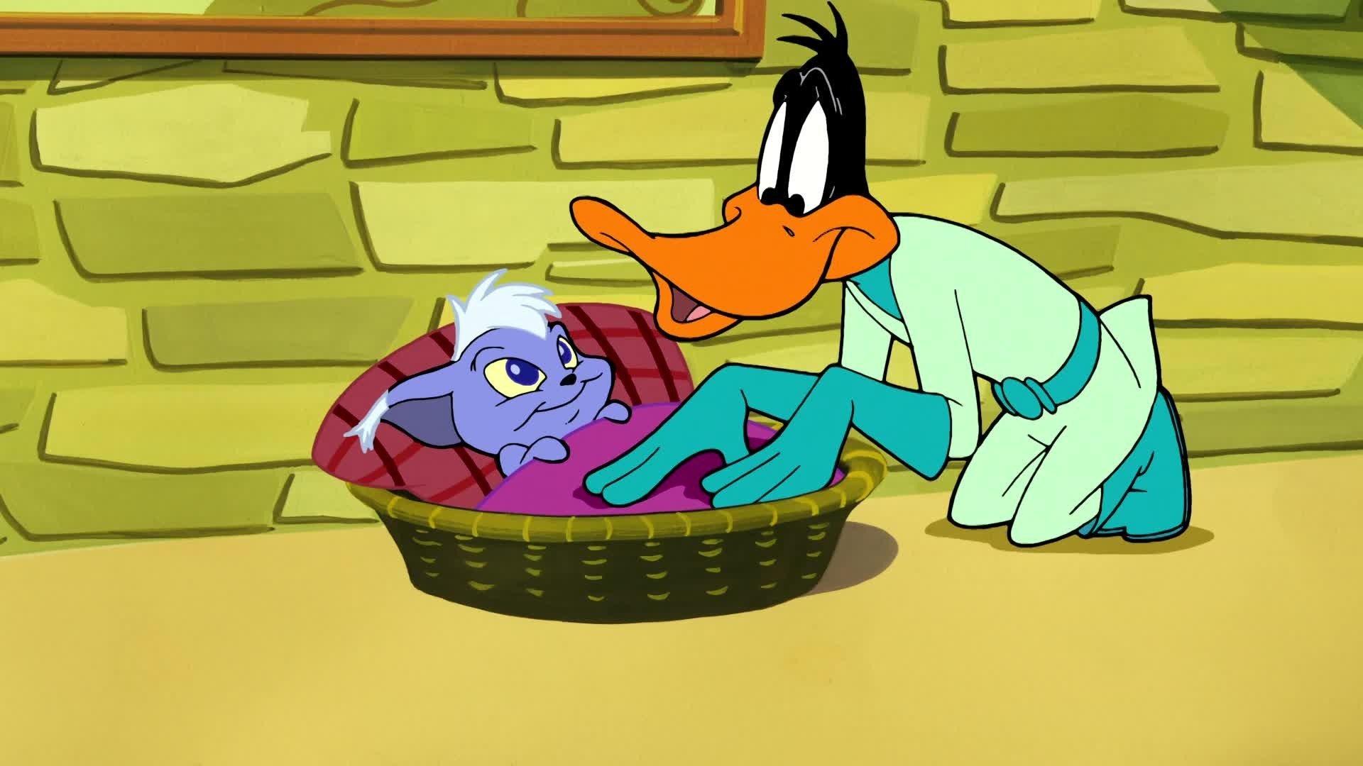 Still from Pet Peeved