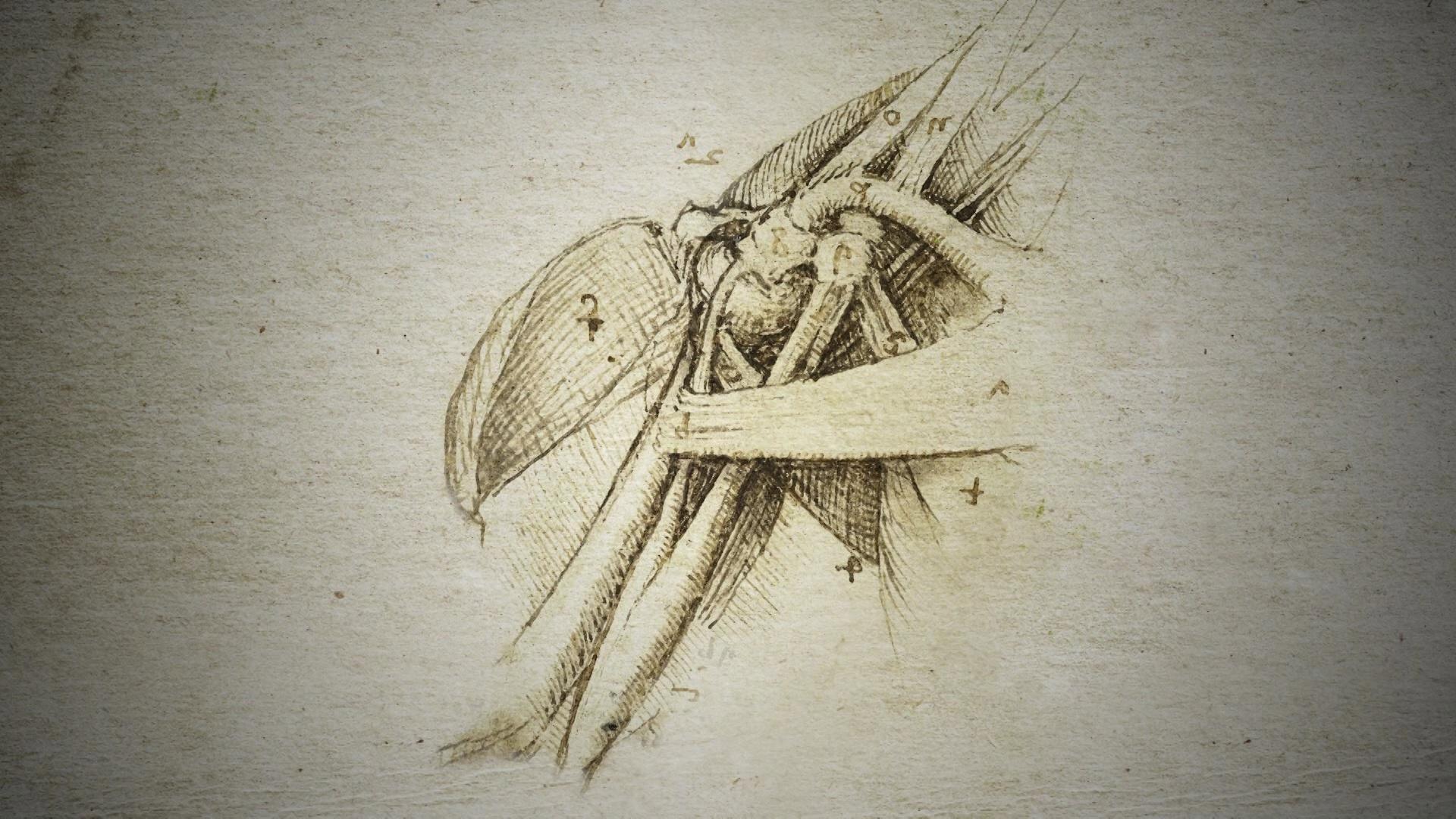 Still from Decoding Da Vinci