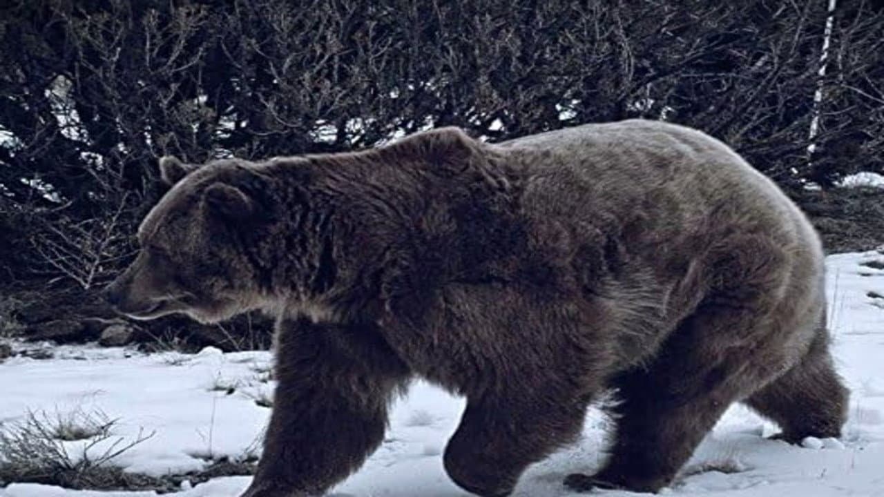 Still from Winter's Wrath