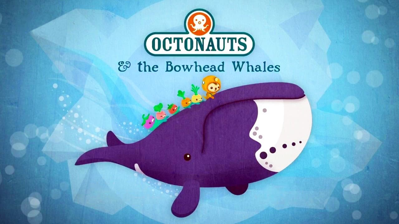 Still from The Bowhead Whales