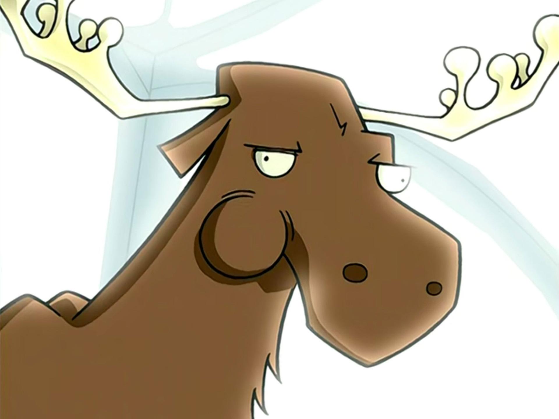 Still from A Room with a Moose