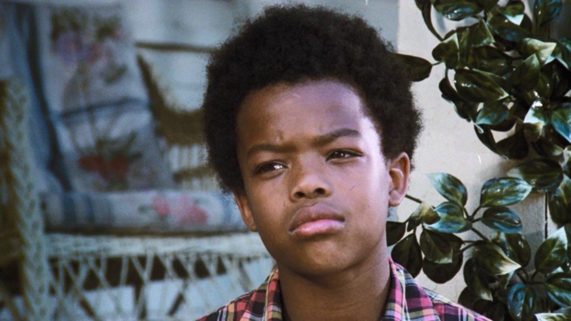 Still from The Stray