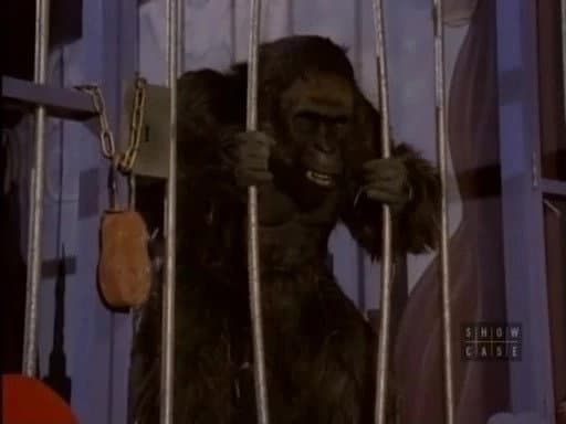 Still from Morticia and the Ladies League