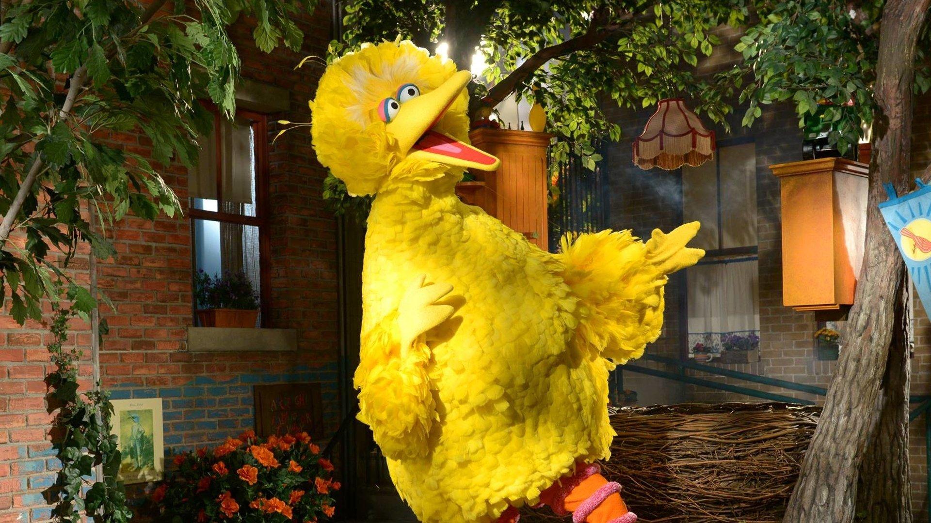 Still from Birdie and the Beast