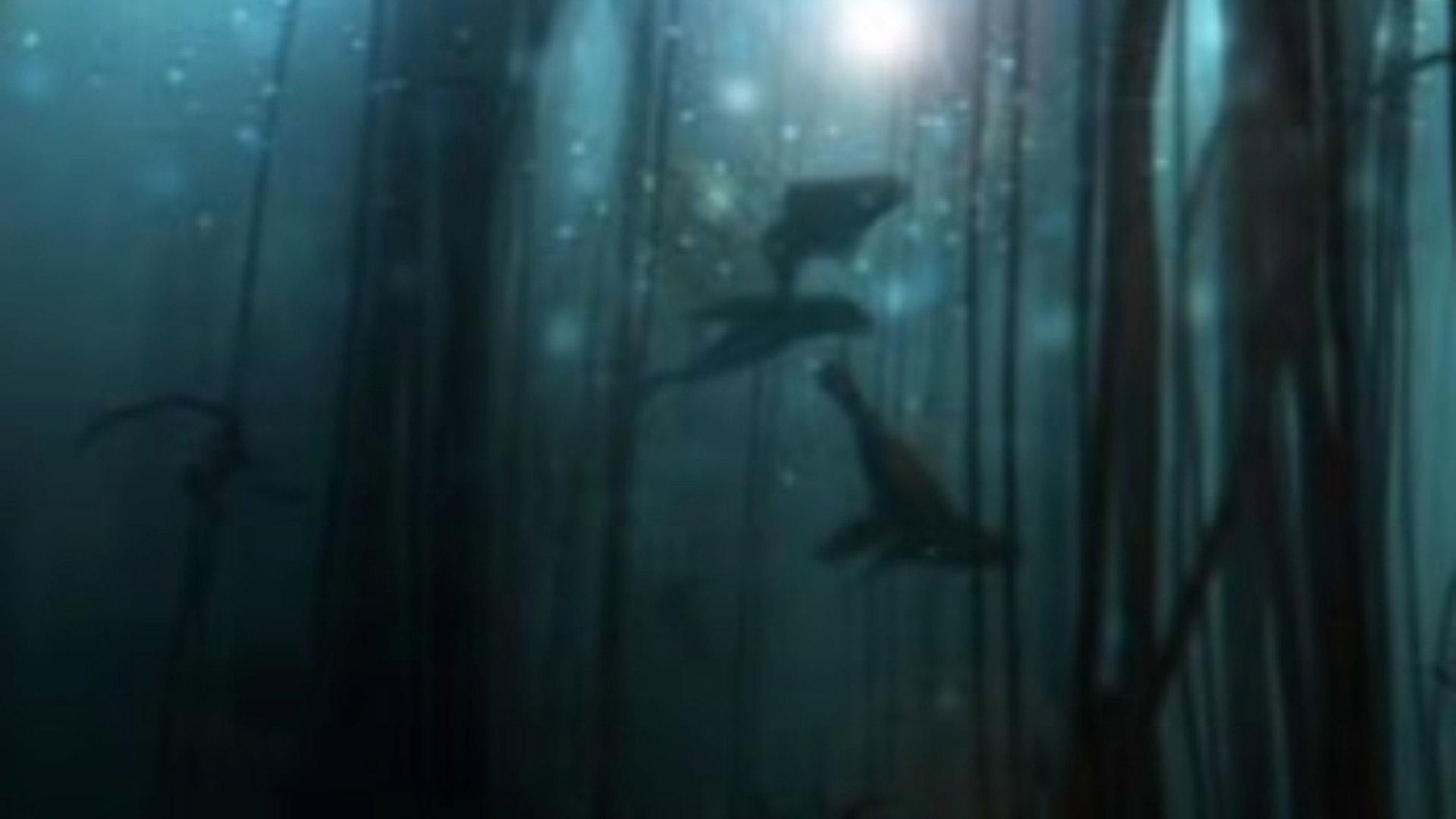 Still from Golden Seals of the Skeleton Coast