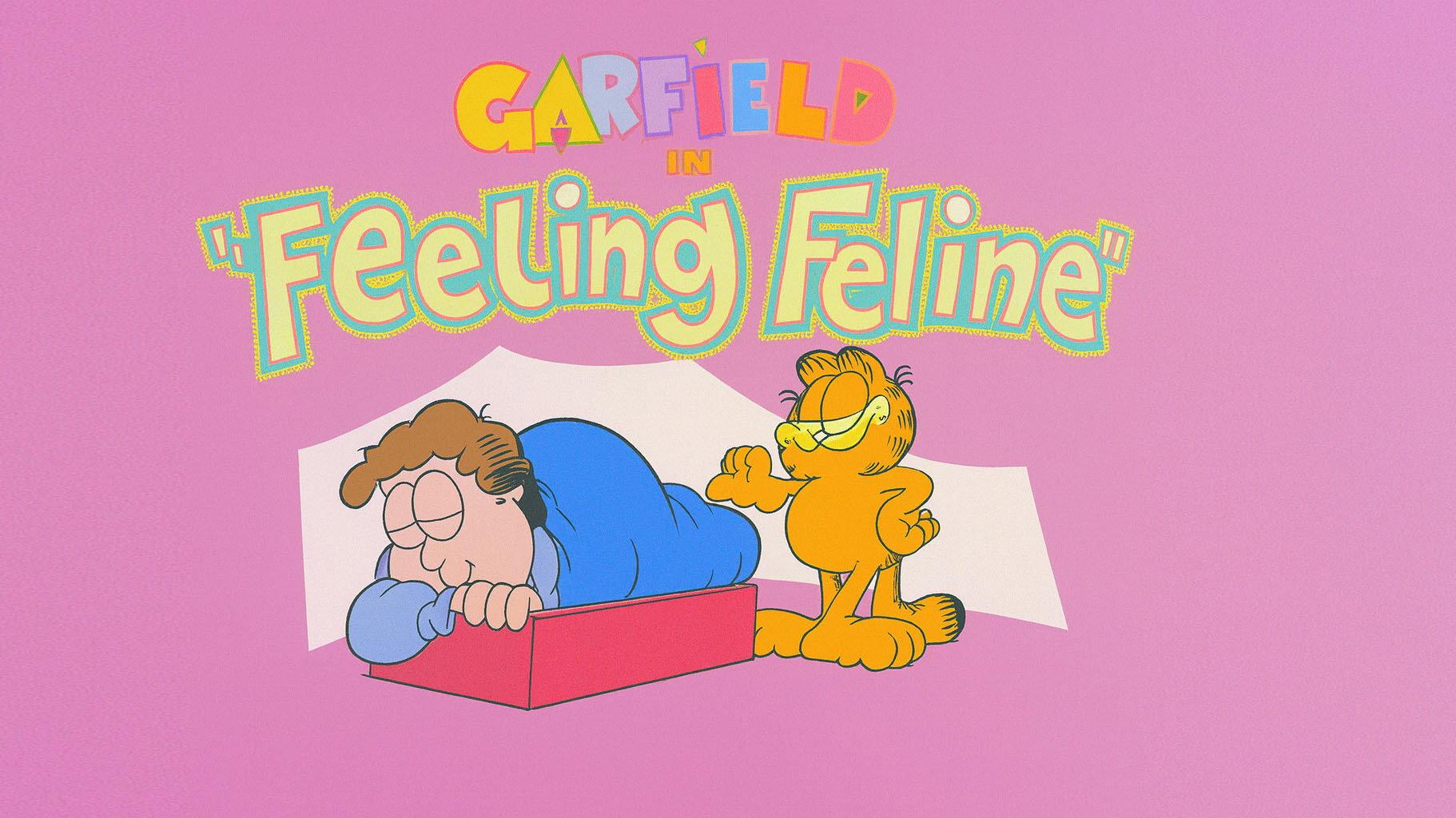 Still from Feeling Feline