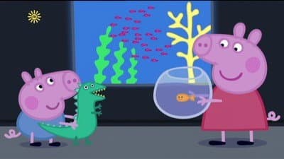 Still from The Aquarium