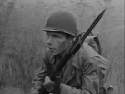 Still from Lost Sheep, Lost Shepherd