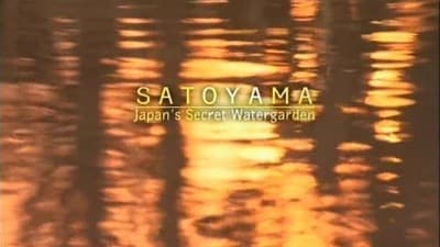 Still from Satoyama: Japan's Secret Water Garden