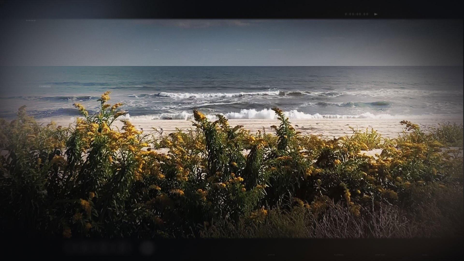 Still from The Hunt for the Gilgo Beach Killer
