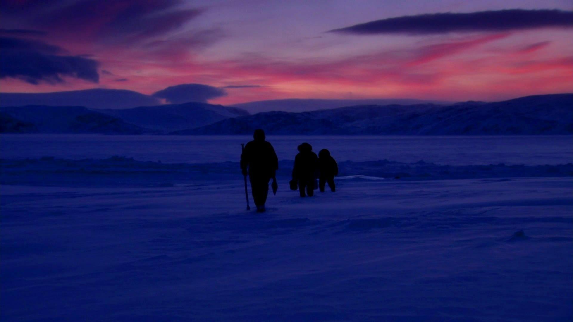 Still from Arctic: Life in the Deep Freeze