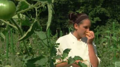 Still from Down on the Farm