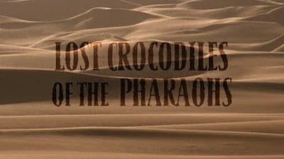Still from Lost Crocodiles of the Pharaohs