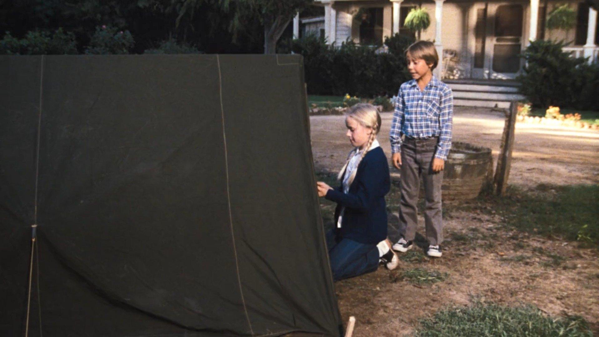 Still from The Silver Wings
