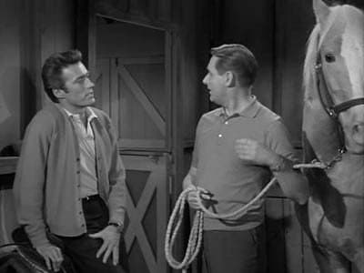 Still from Clint Eastwood Meets Mister Ed