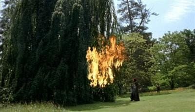 Still from Spiral