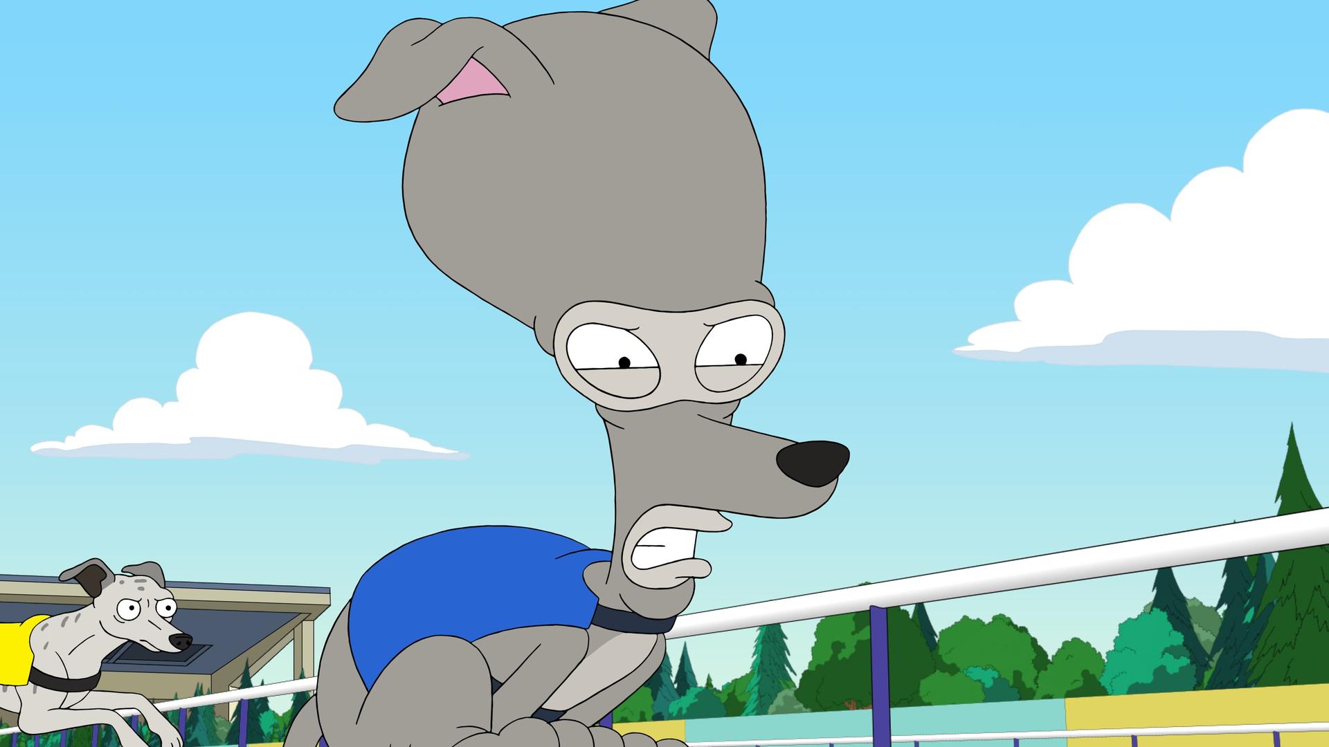 Still from Fleabiscuit