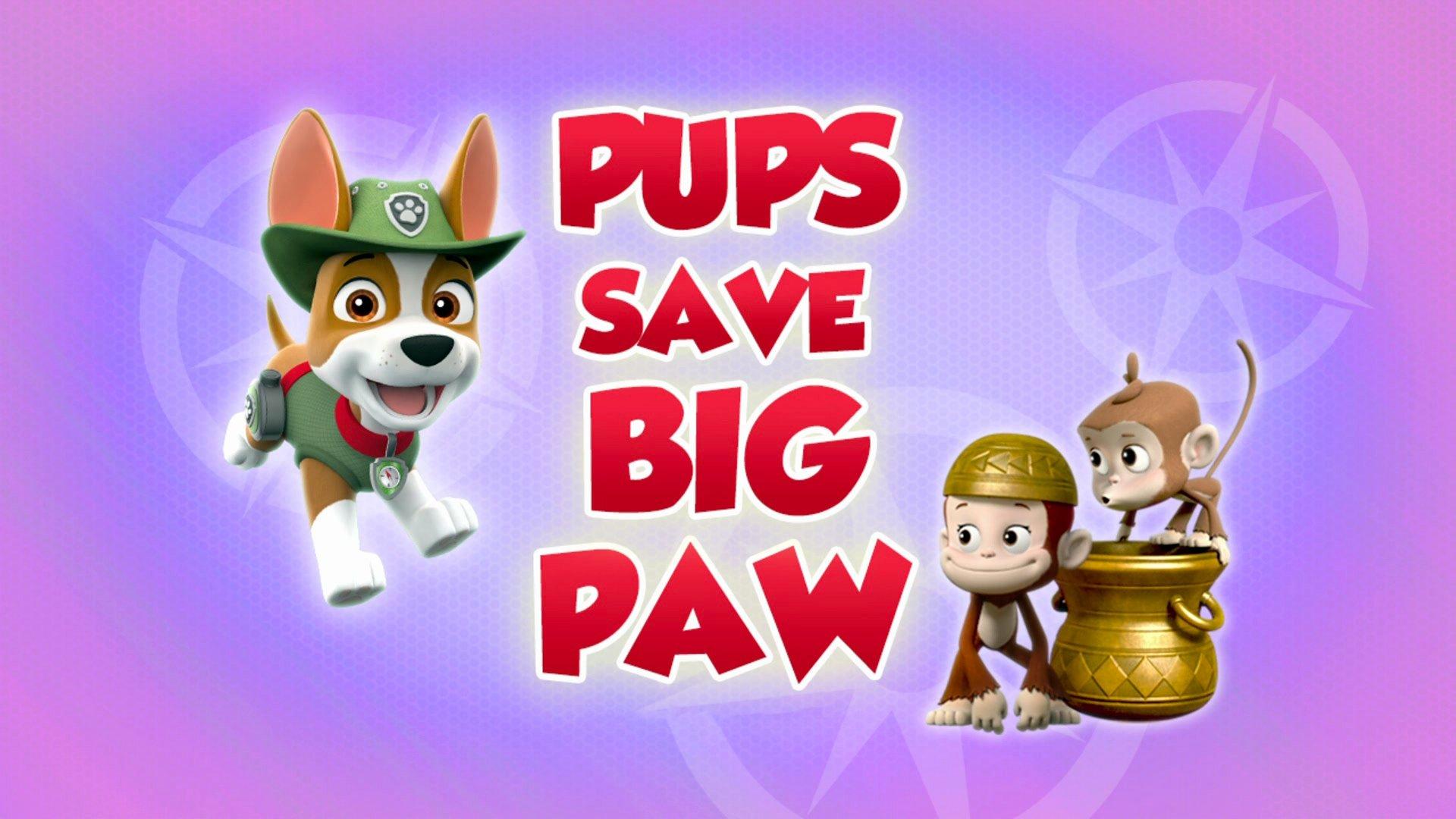 Still from Pups Save Big Paw