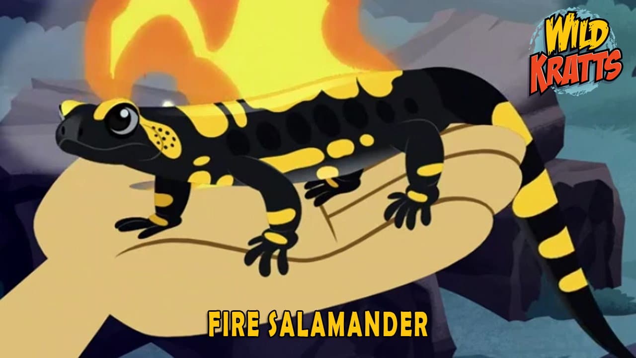 Still from Fire Salamander