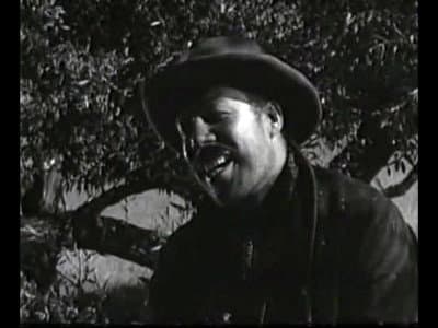 Still from Kitty Shot
