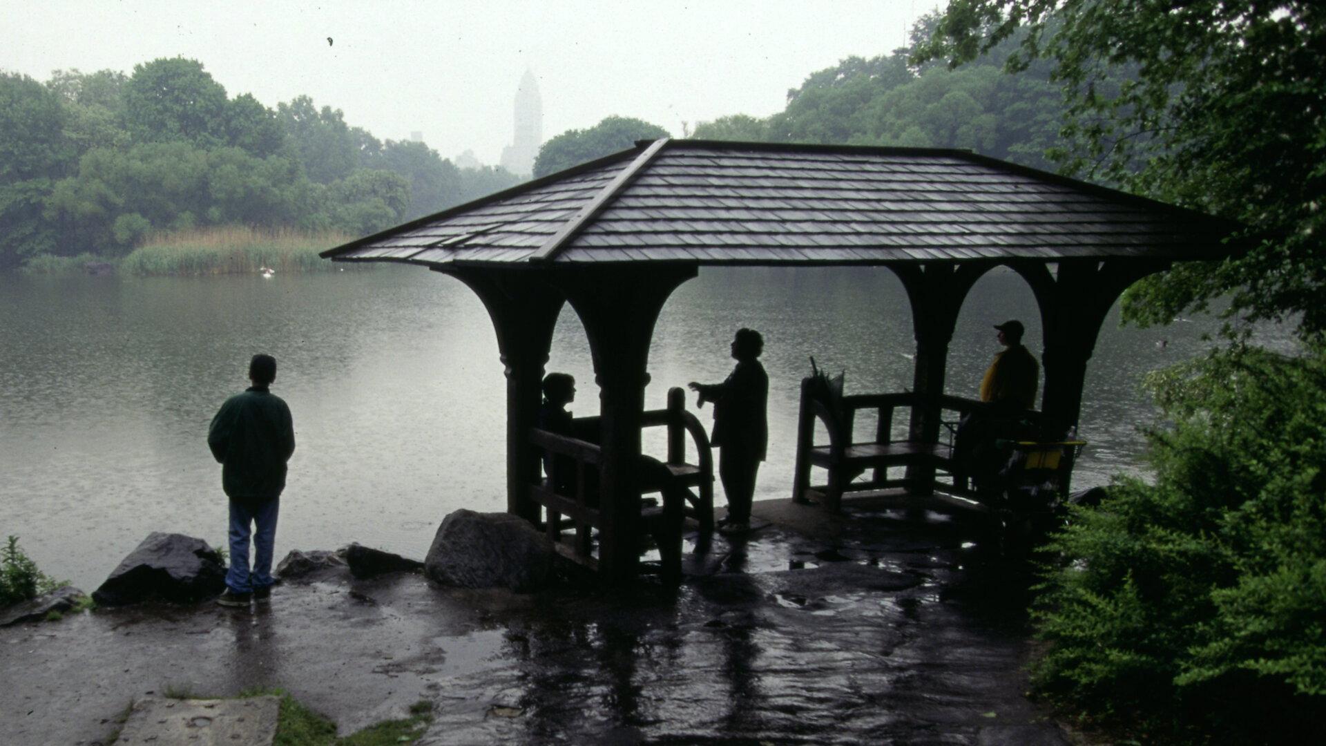Still from Central Park Slaying
