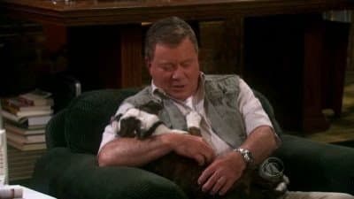 Still from Dog Ed Pursuit