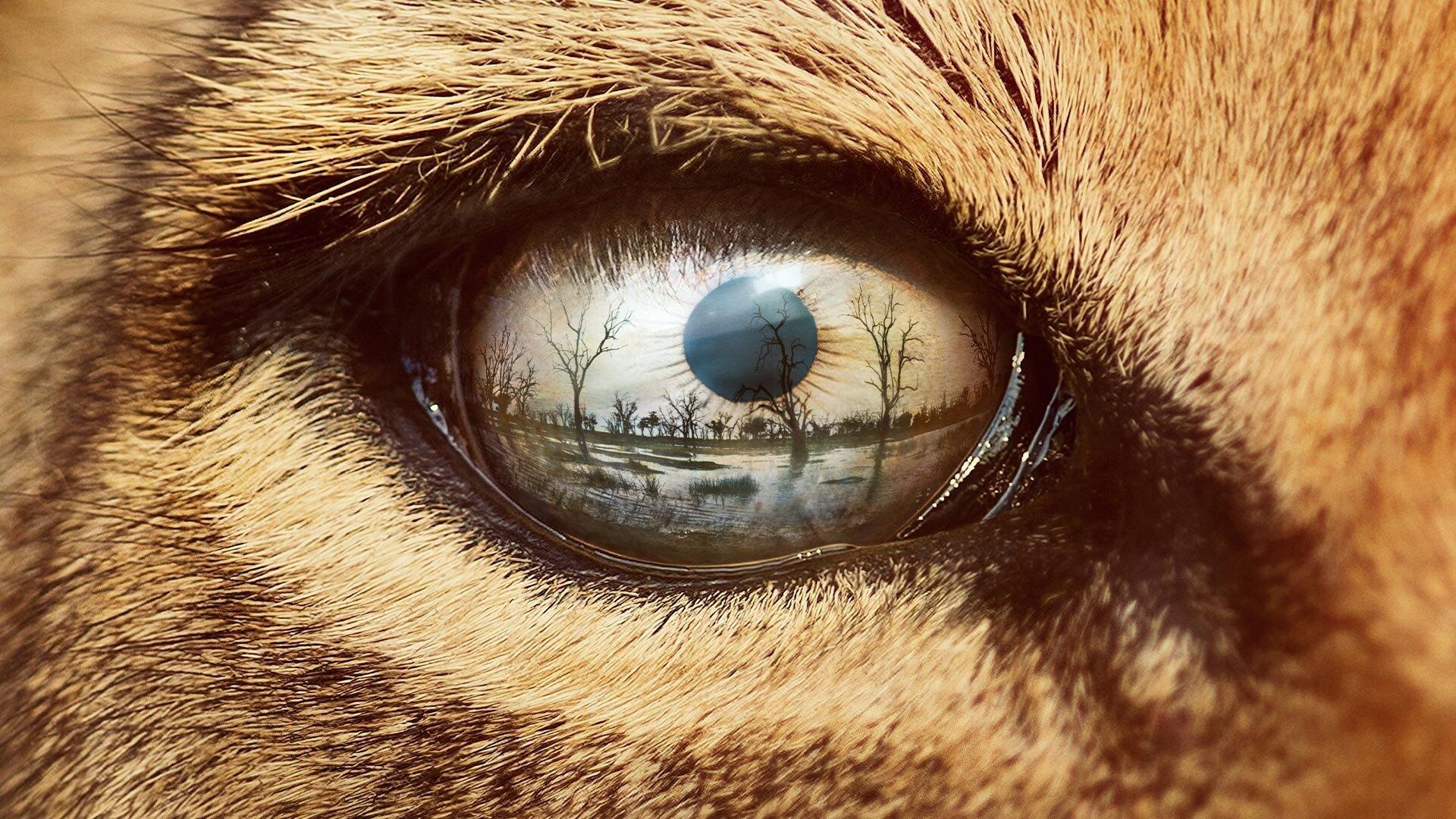 Still from Lion