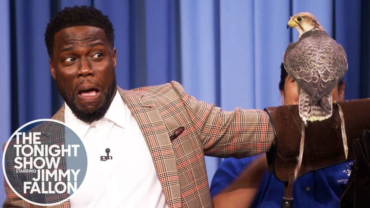Still from Kevin Hart/Robert Irwin