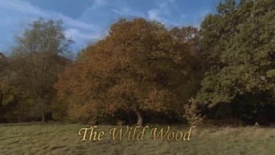 Still from The Wild Wood