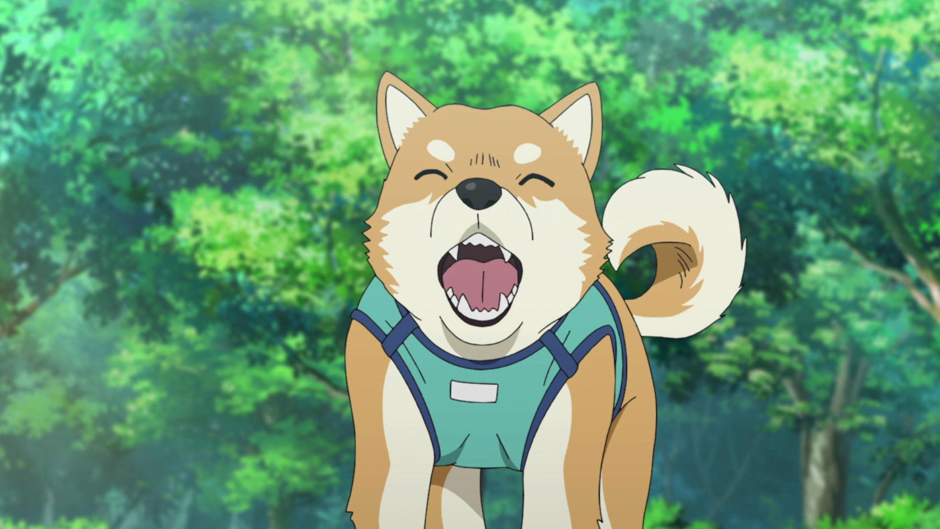 Still from My Beloved Dog Pan-kun Is a Good Boy